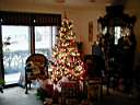 Tree Blury.JPG